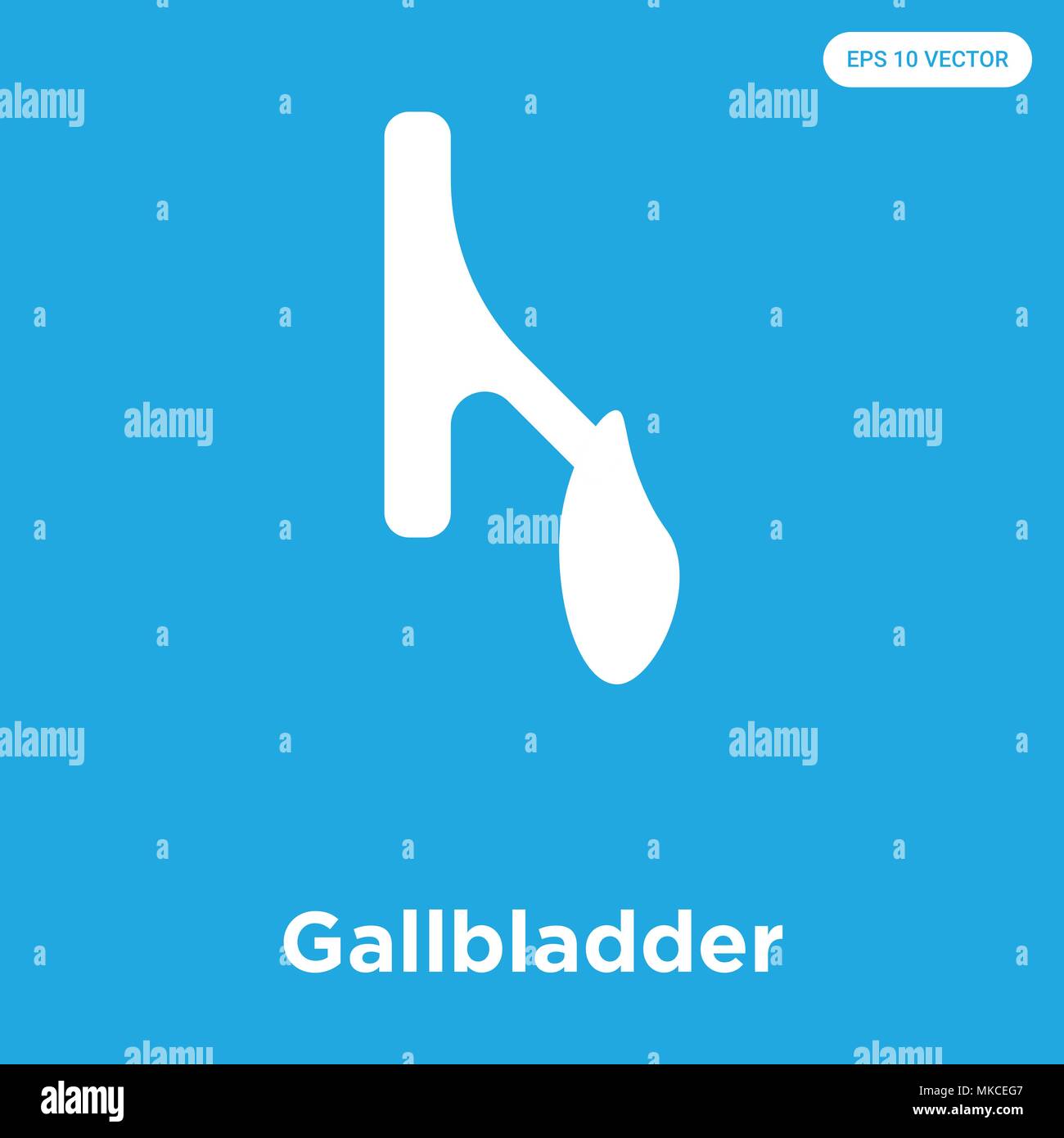 Bladder vector diagram hi-res stock photography and images - Alamy