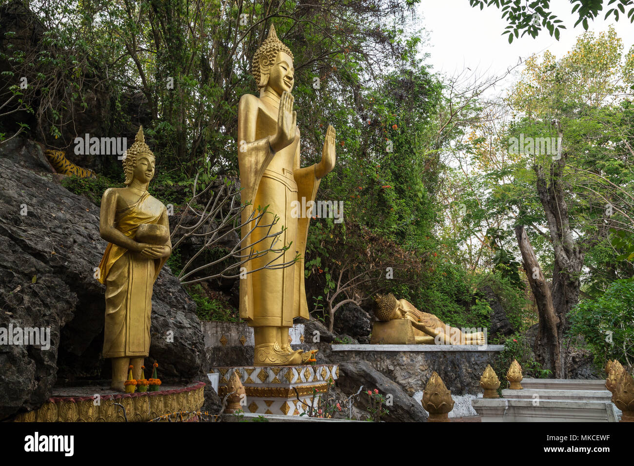 Phusi hi-res stock photography and images - Alamy