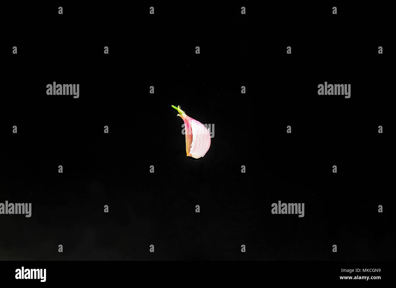The fresh Garlic Clove on the black background Stock Photo - Alamy