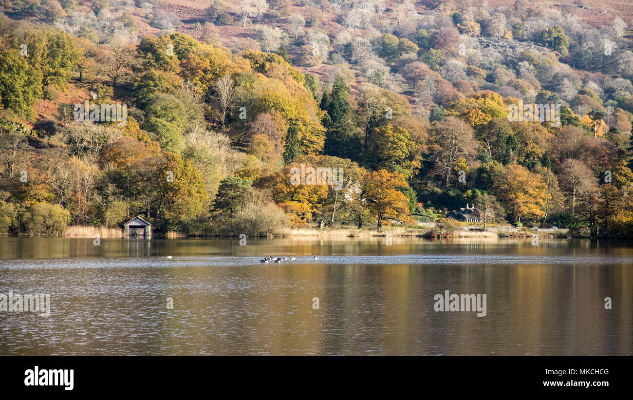 Trees displaying autumn colours are reflected in Rydal Water lake in England's Lake District National Park. Stock Photo