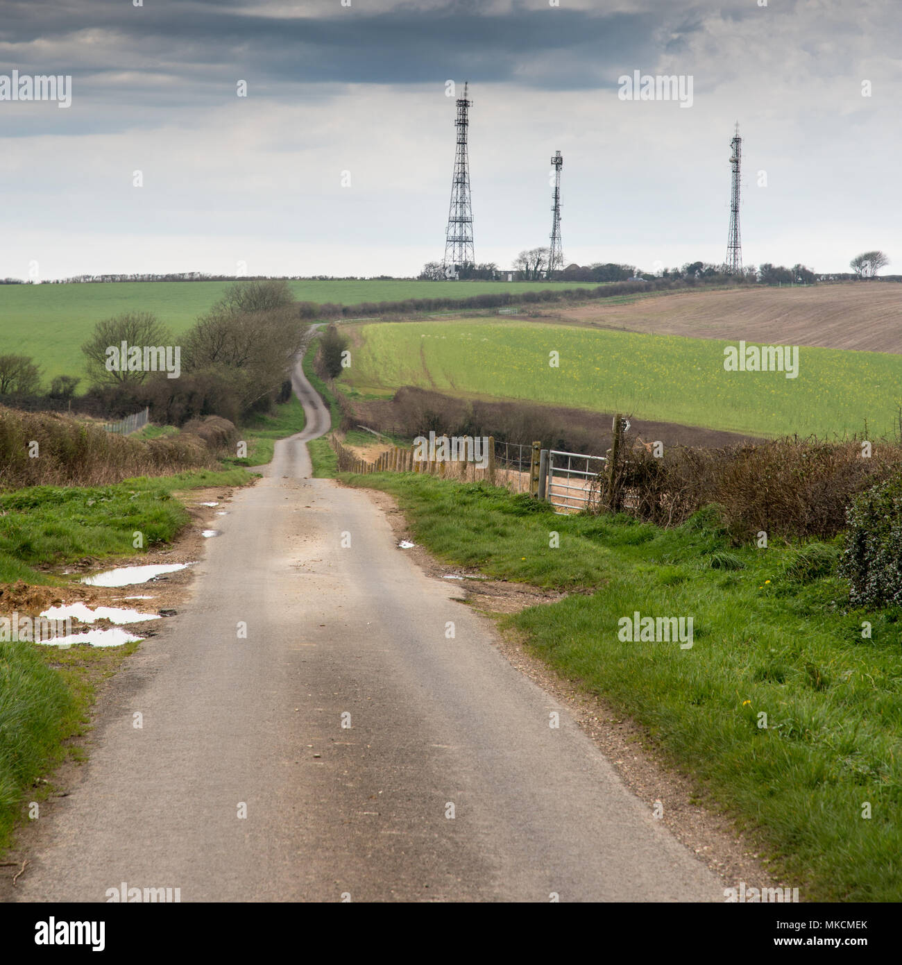 A single-track country lane runs between fields and hedgerows on the ridgeway of the Dorset Downs, leading up to Eggardon Hill and three telecommunica Stock Photo