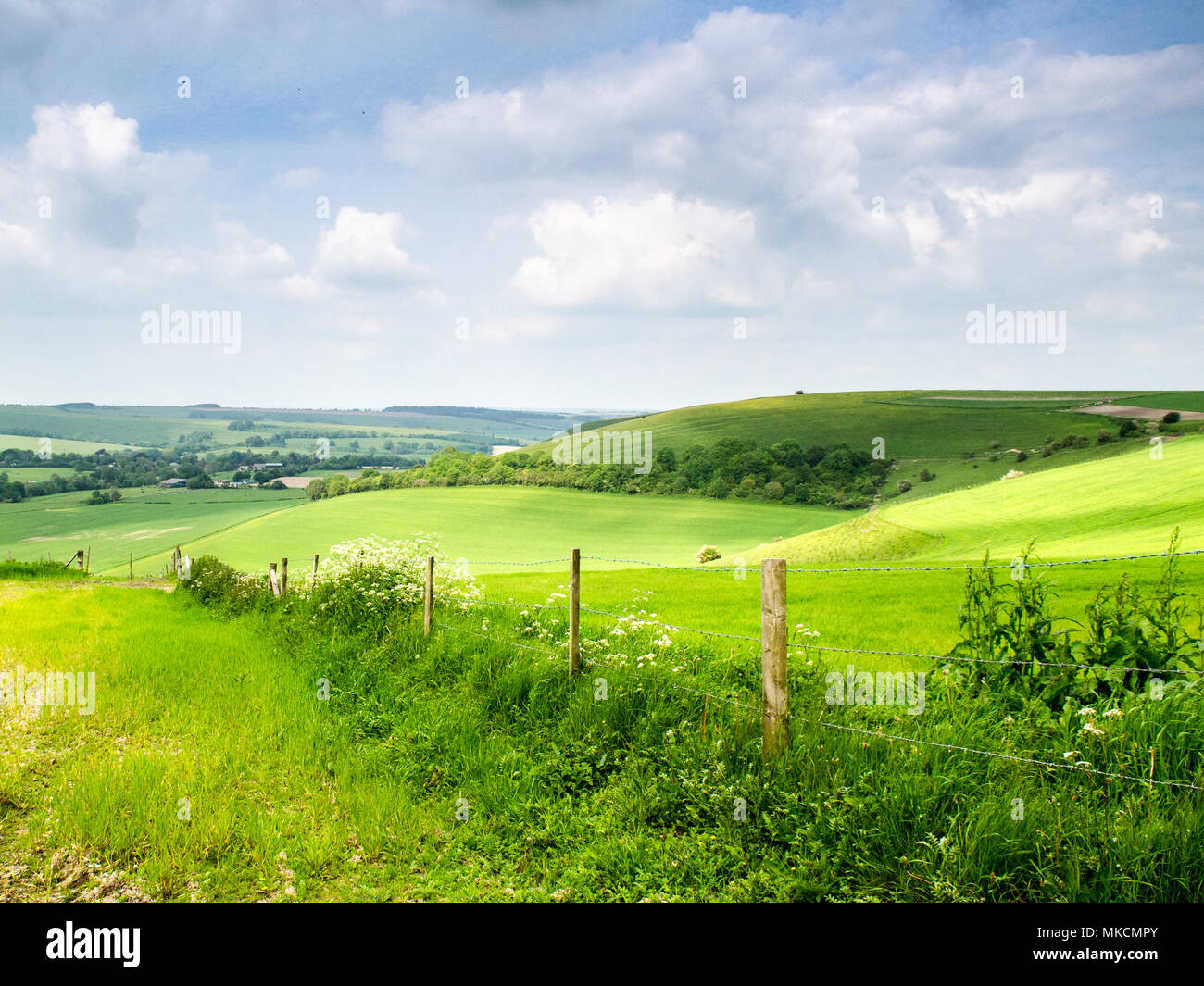 Lush green pasture fields cover the scarp slopes of rolling chalk hills in Cranborne Chase, overlooking the Vale of Wardour valley in south west Wilts Stock Photo