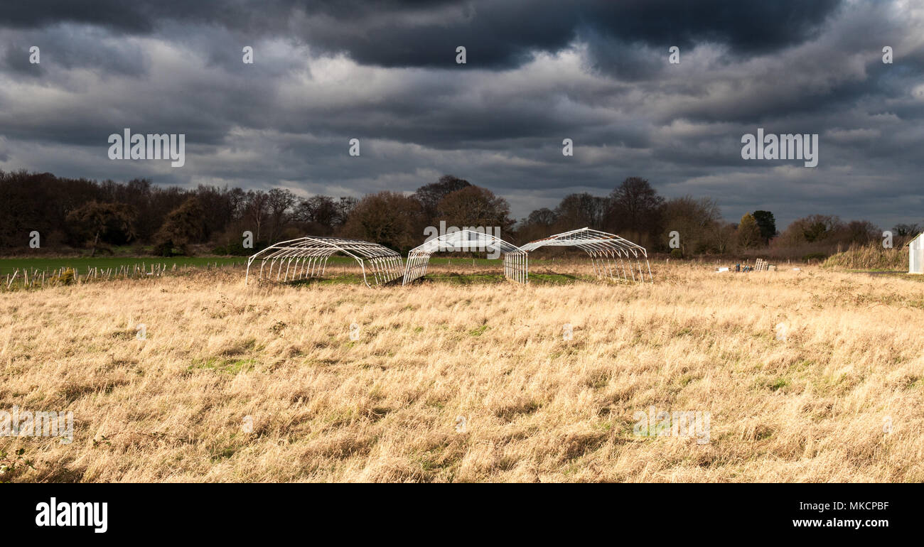 Sun shines on polytunnel frames at a farm in Carshalton, part of London's Green Belt. Stock Photo