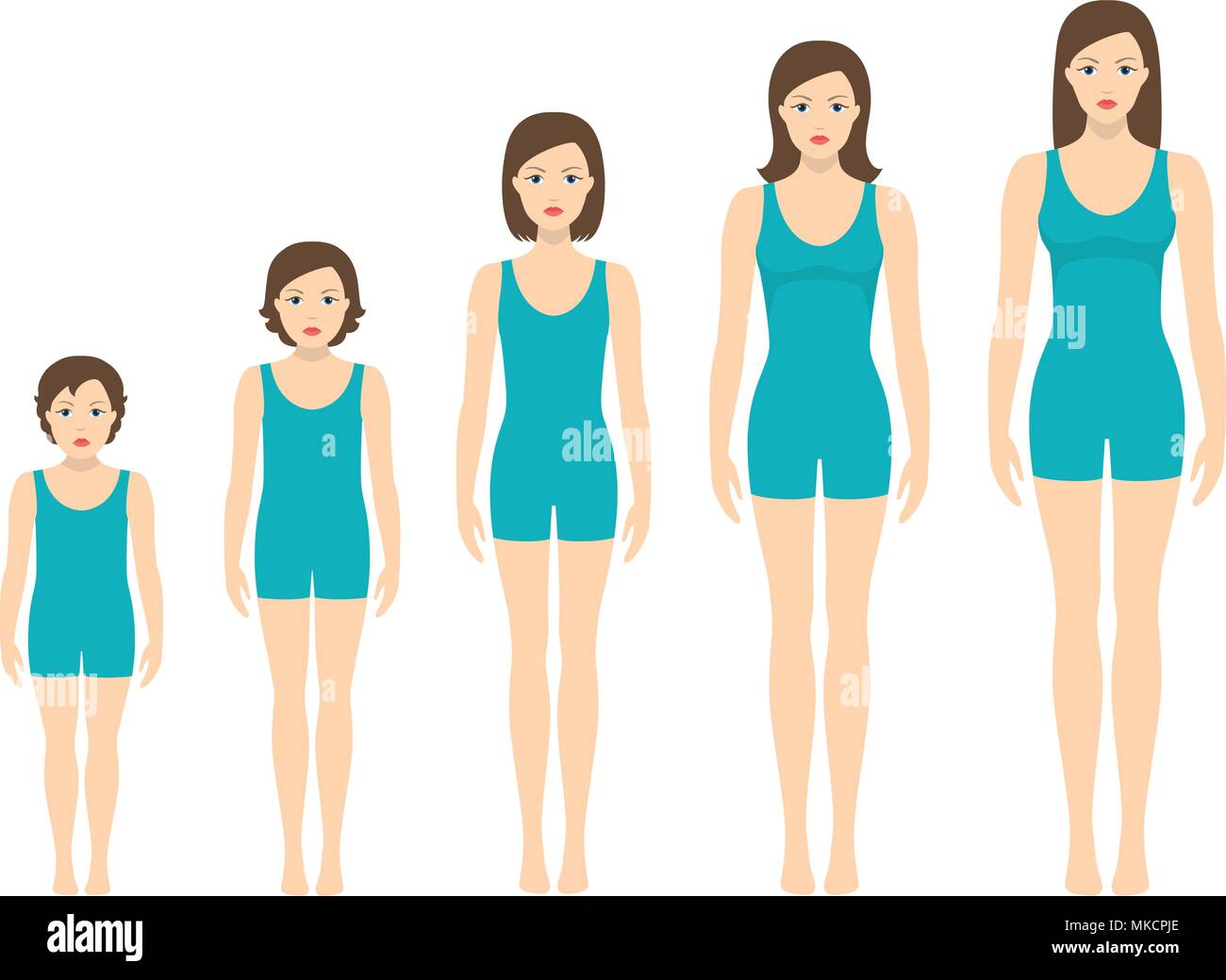 Women's body proportions changing with age. Girl's body growth stages
