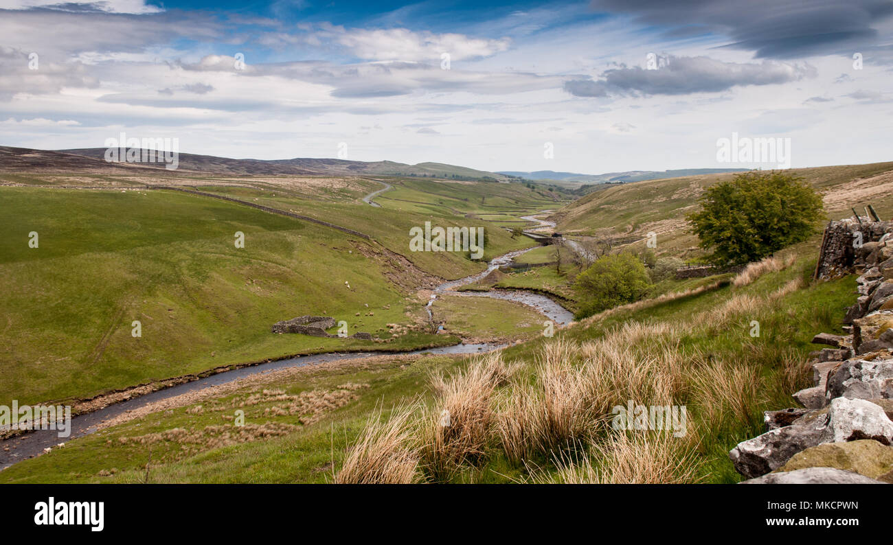 The Lune Head Beck flows through Lunedale at Grains o' th' Beck under the moors of the North Pennines in the Teesdale district of County Durham. Stock Photo
