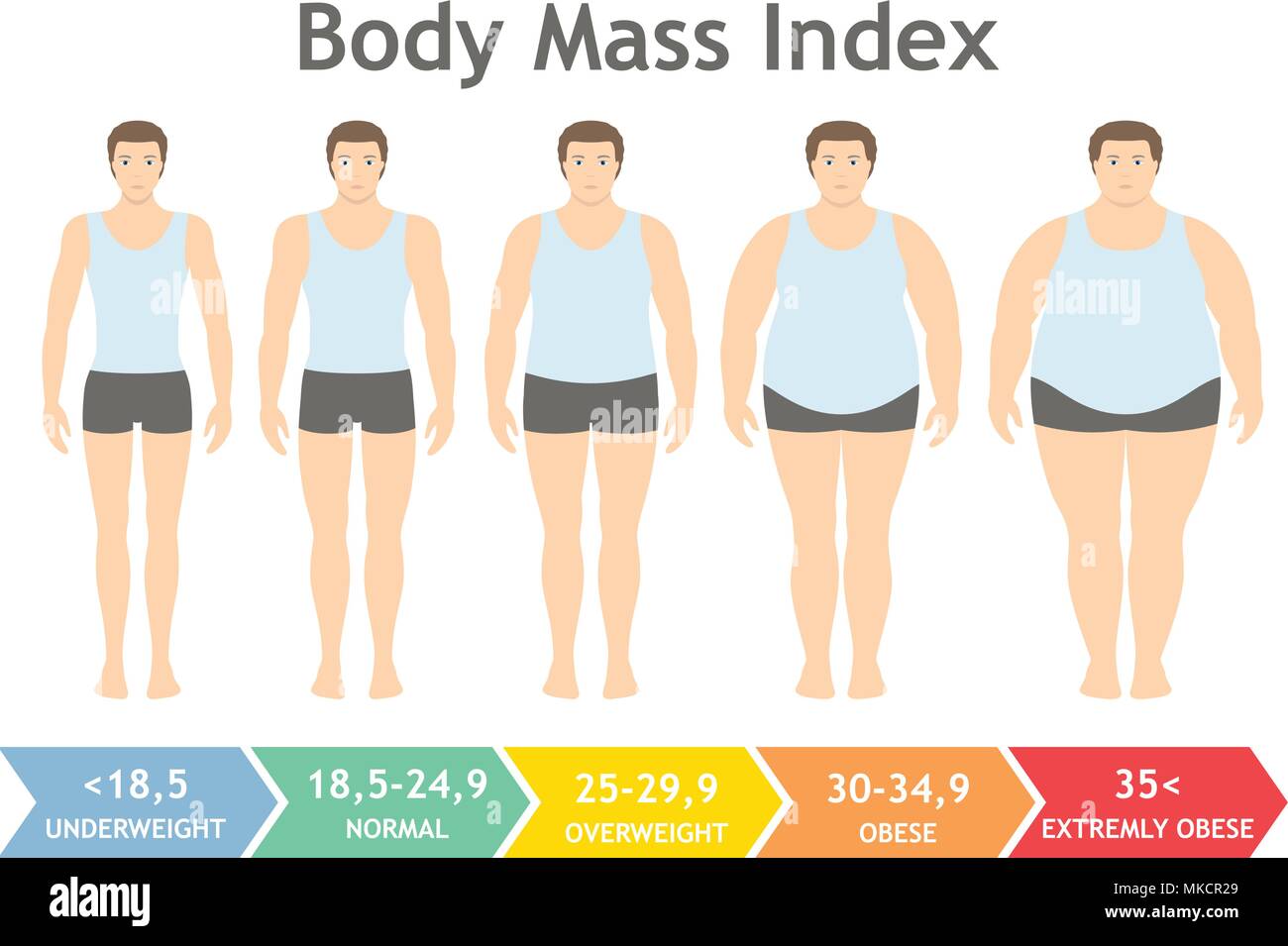 Body mass index vector illustration from underweight to extremely obese