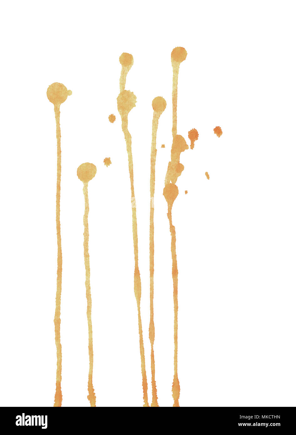 Coffee stains on white background Stock Photo