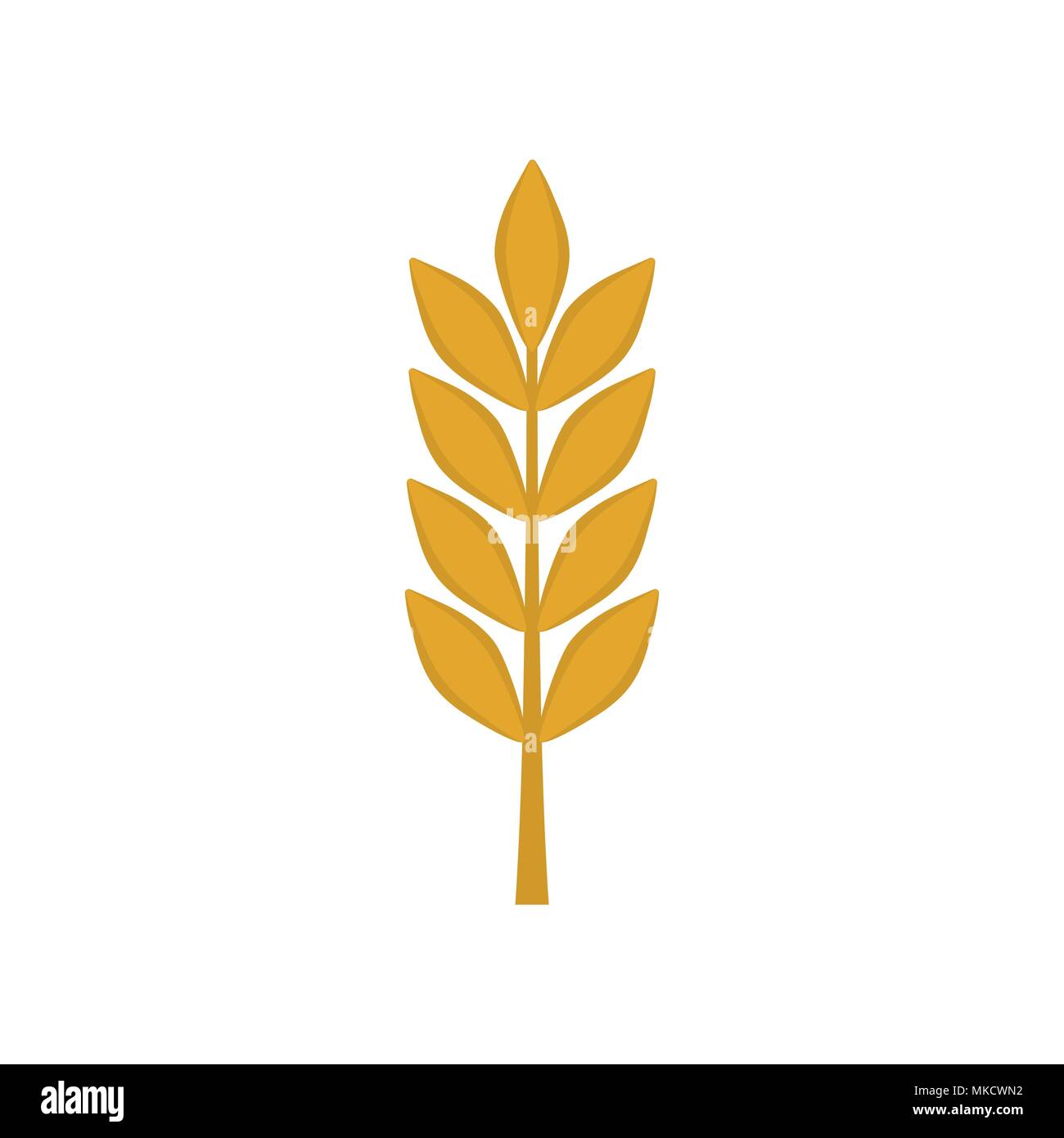 Barley crop in field Stock Vector Images Alamy