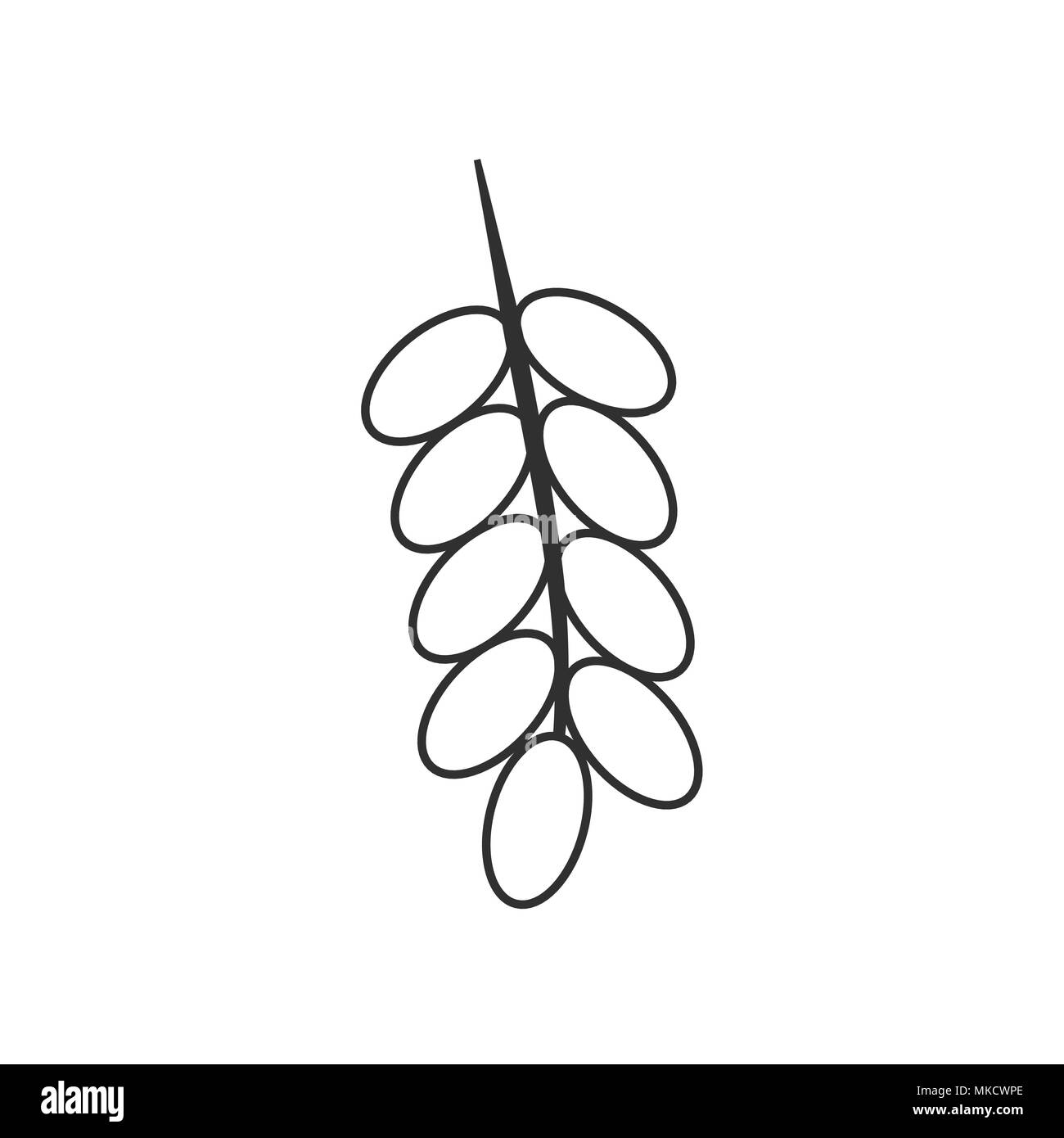 Branch of date palm fruit icon in black flat outline design. Stock Vector