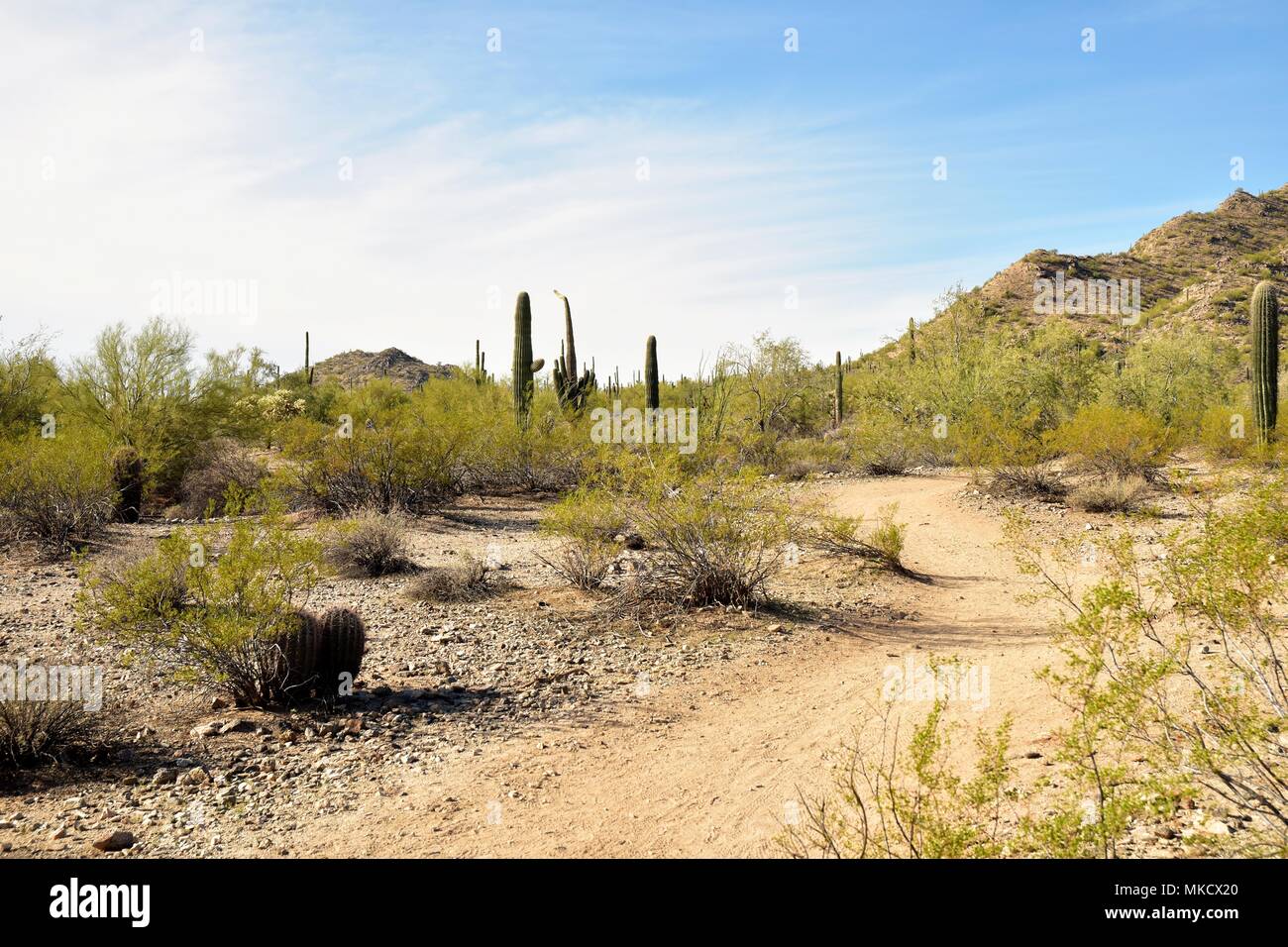 san tan mountain bike trails