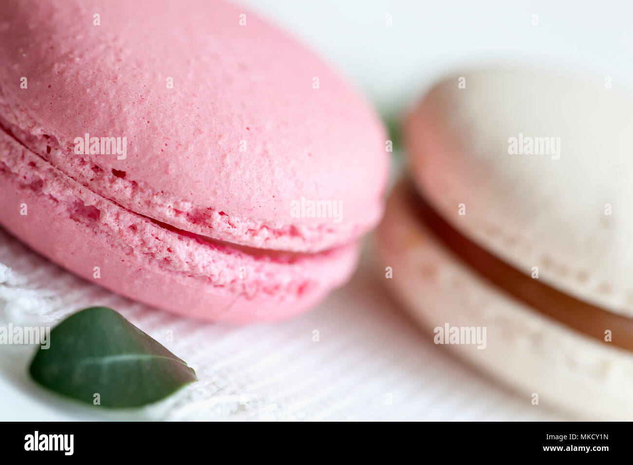Pink, white Macaroons close-up, spring green petals, tender pastel background. Romantic morning, gift for beloved. Selective focus Stock Photo