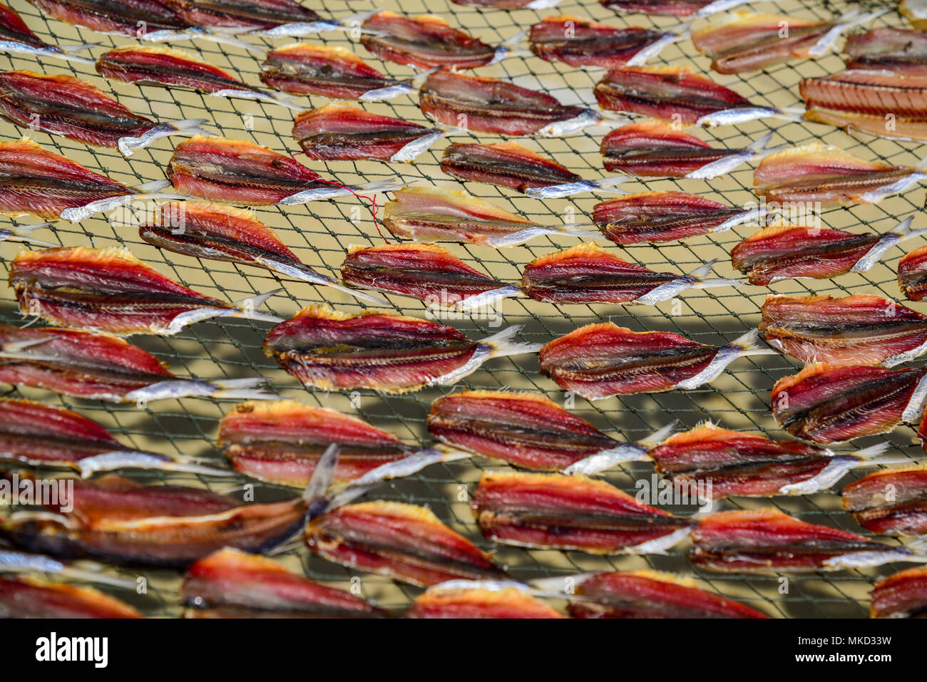 Dried fishes by heat from direct sunlight on wired net Stock Photo Alamy