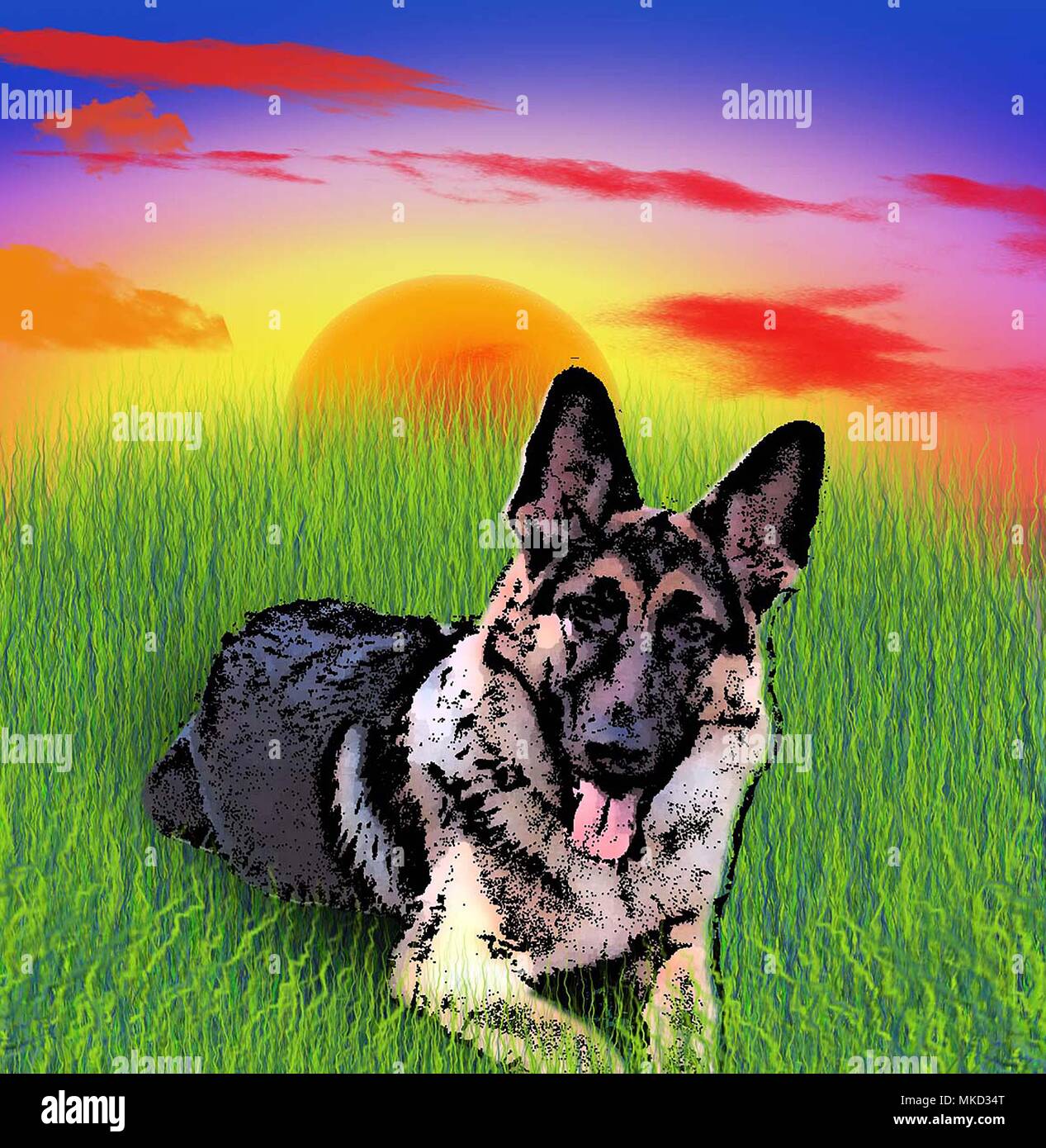 Illustration. German shepherd dog lying on green grass. Sunset Stock Photo Alamy