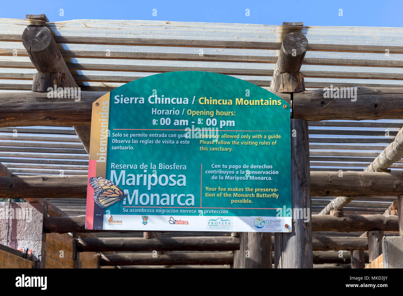 Sierra Chincua, where the monarch butterflies (Danaus plexippus), come in winter from November to March in oyamel pine forests (Abies religiosa), reserve entrance, Reserve of the Biosfera Monarca, Angangueo, State of Michoacan, Mexico Stock Photo