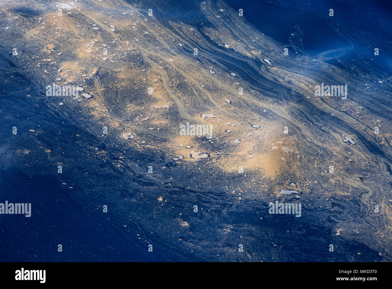 Trichodesmium, also called sea sawdust (Trichodesmium erythraeum). It appears massively in surface, time of heat. It is a natural process. Tenerife, Canary Islands. Stock Photo