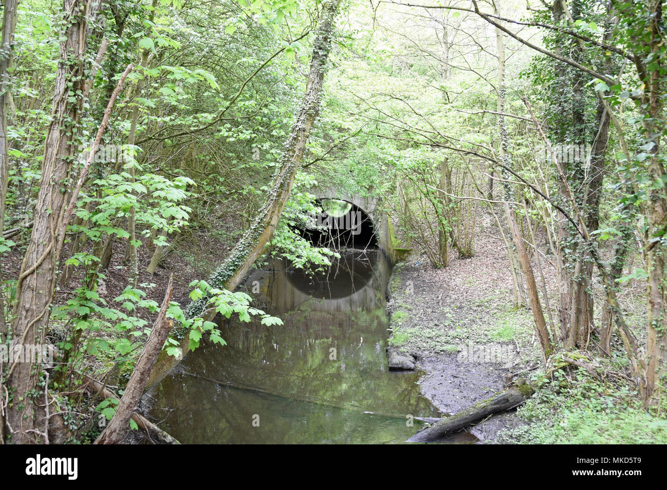 River Alder Bourne tunnel alongside the London M25 Orbital Motorway Stock Photo