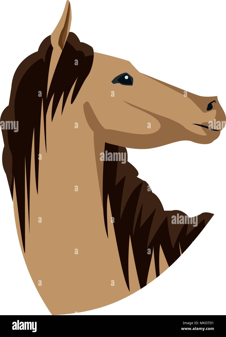 Cartoon horse head hi-res stock photography and images - Alamy