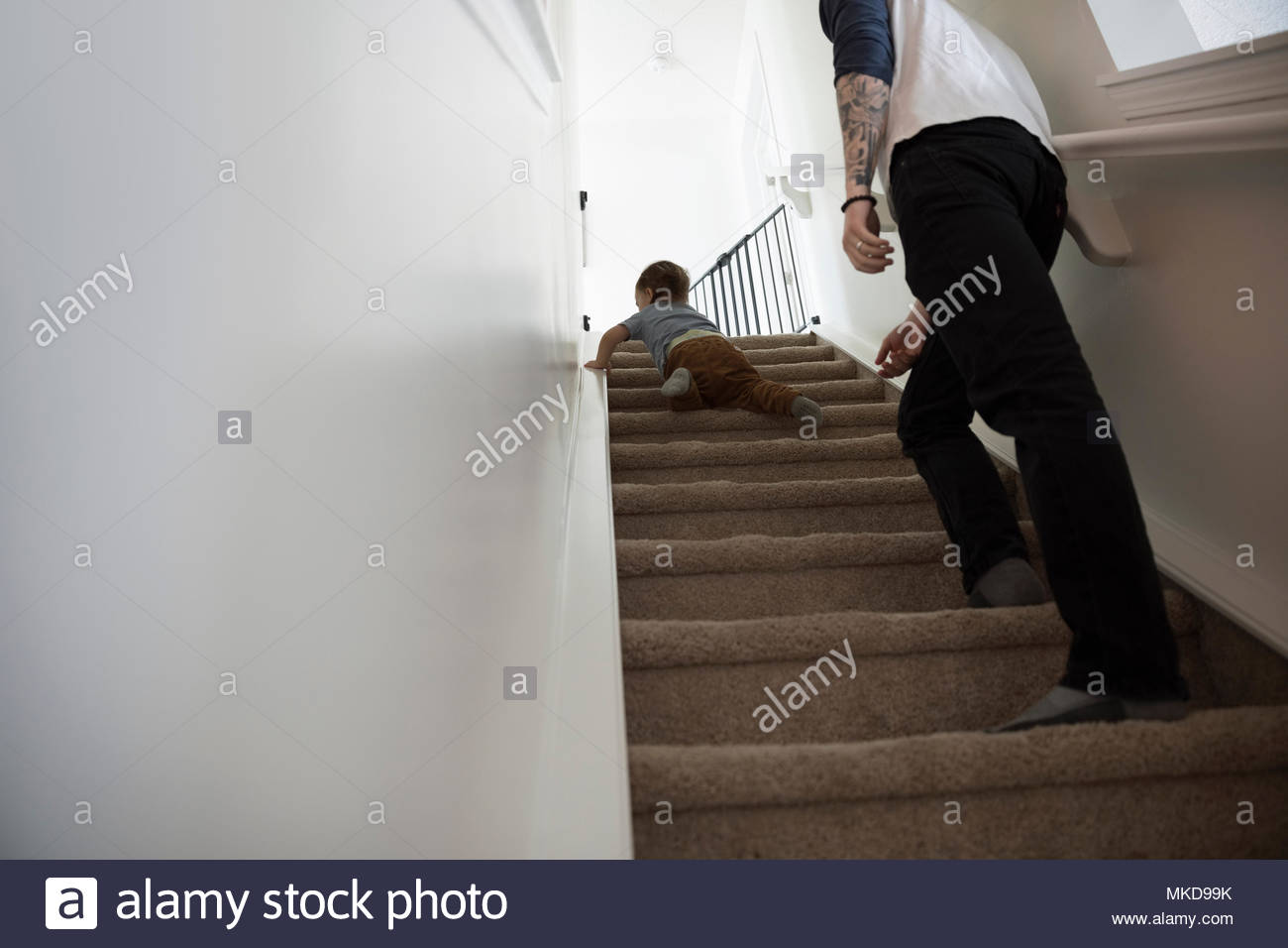 Father watching baby son crawling up stairs Stock Photo