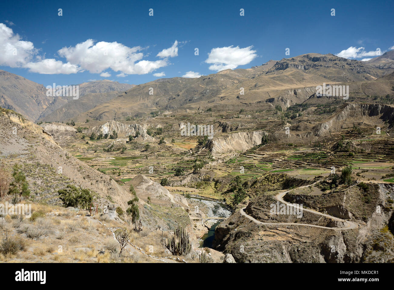 traditional-andean-terraced-cultures-rio-colca-valley-maca-area