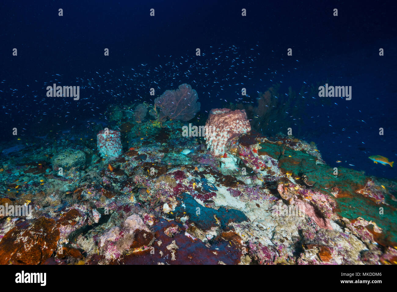 Indian Ocean Depth
