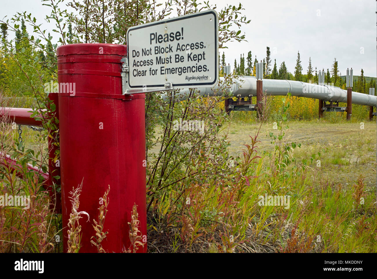 Dalton Highway from Fairbanks to Prudhoe Bay, Trans Alaska Pipeline