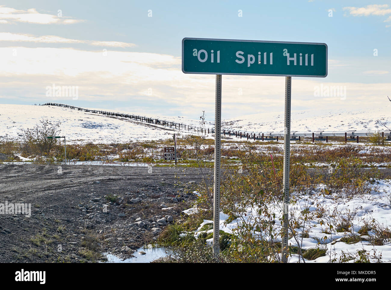 Dalton Highway from Fairbanks to Prudhoe Bay, Trans Alaska Pipeline