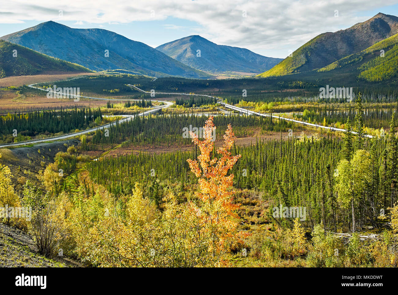 Dalton Highway : from Fairbanks to Prudhoe Bay,,The road and the ...