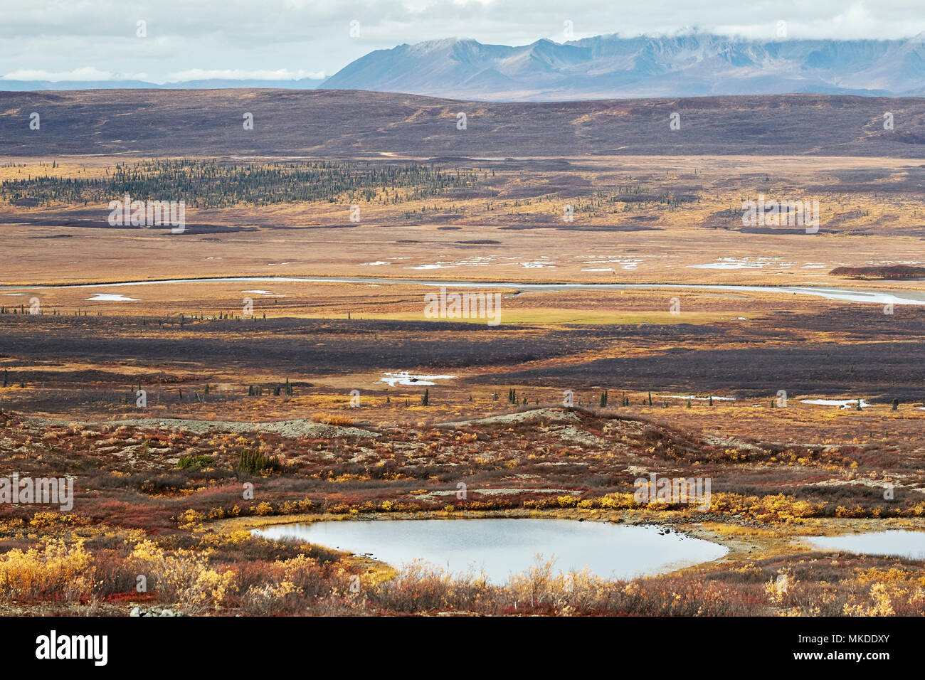 Cantwell formation hires stock photography and images Alamy