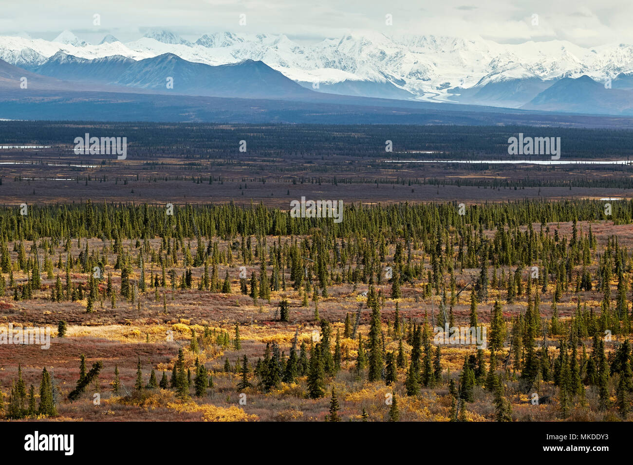 Cantwell formation hires stock photography and images Alamy