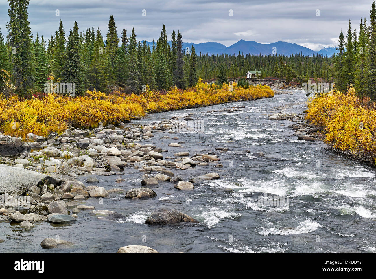 Brushkana river denali hires stock photography and images Alamy