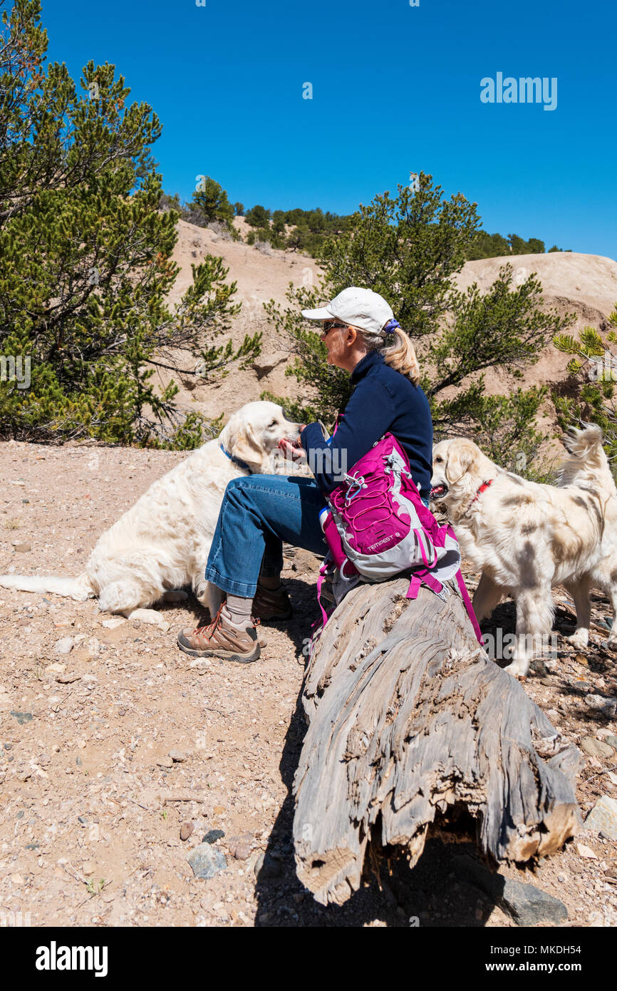Female hiker with platinum colored Golden Retriever dogs pauses for a drink Stock Photo