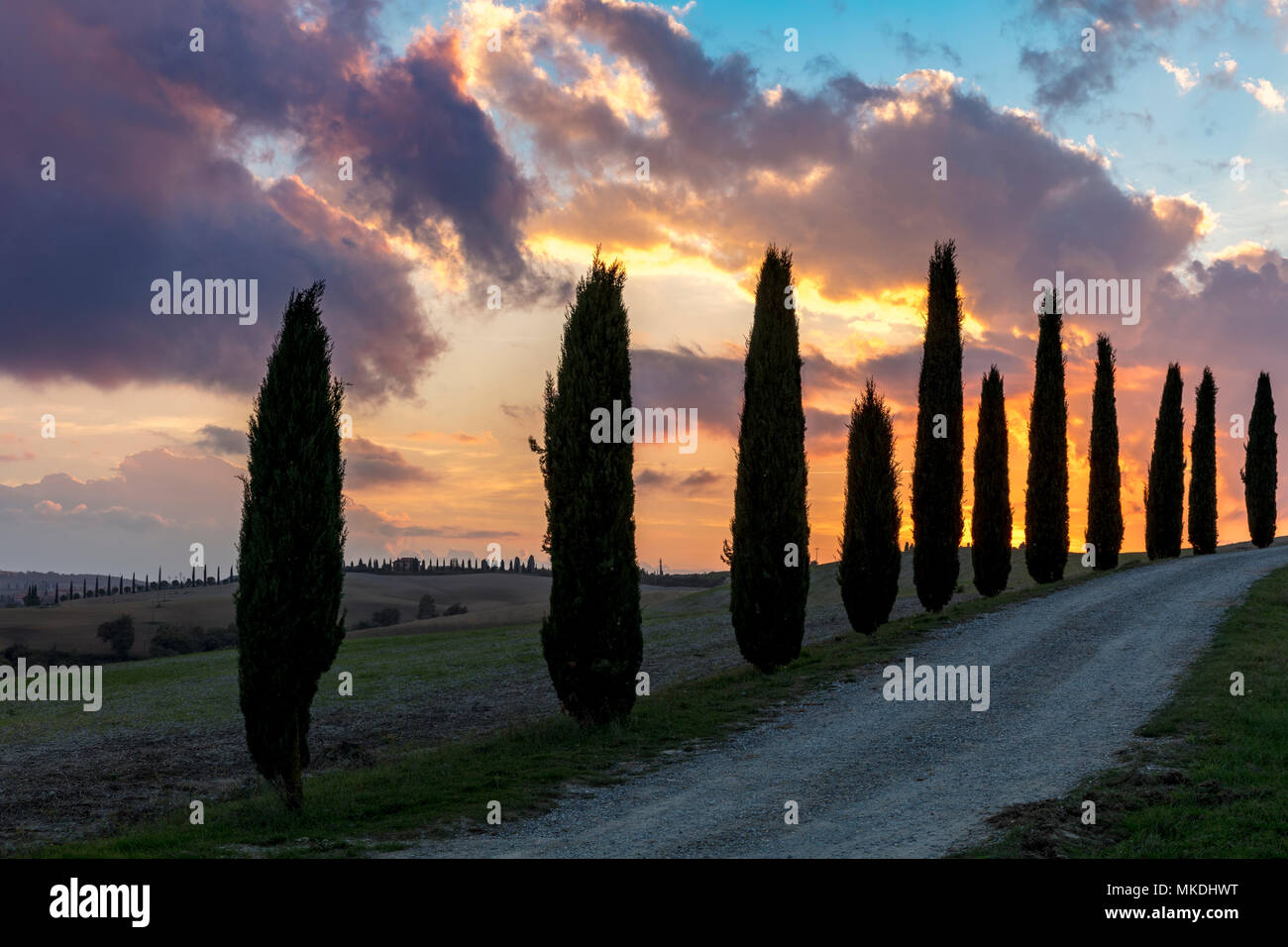 Tuscan Sunset