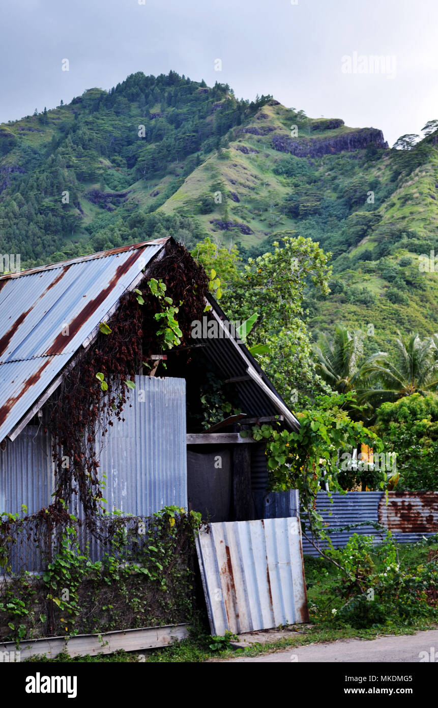 Old metal building with mountains in background. Moorea Tahiti French