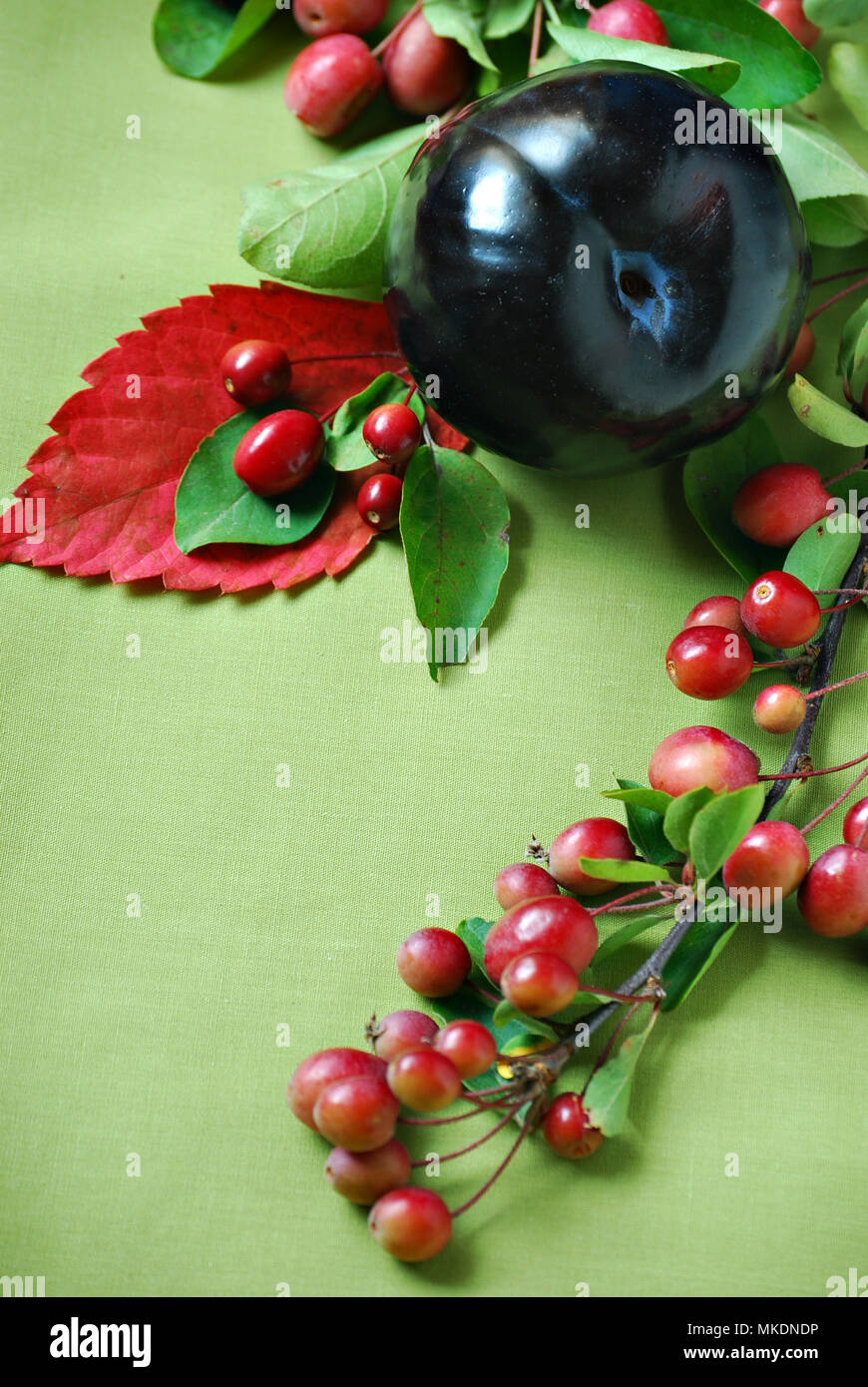still life with plums and cherries Stock Photo Alamy