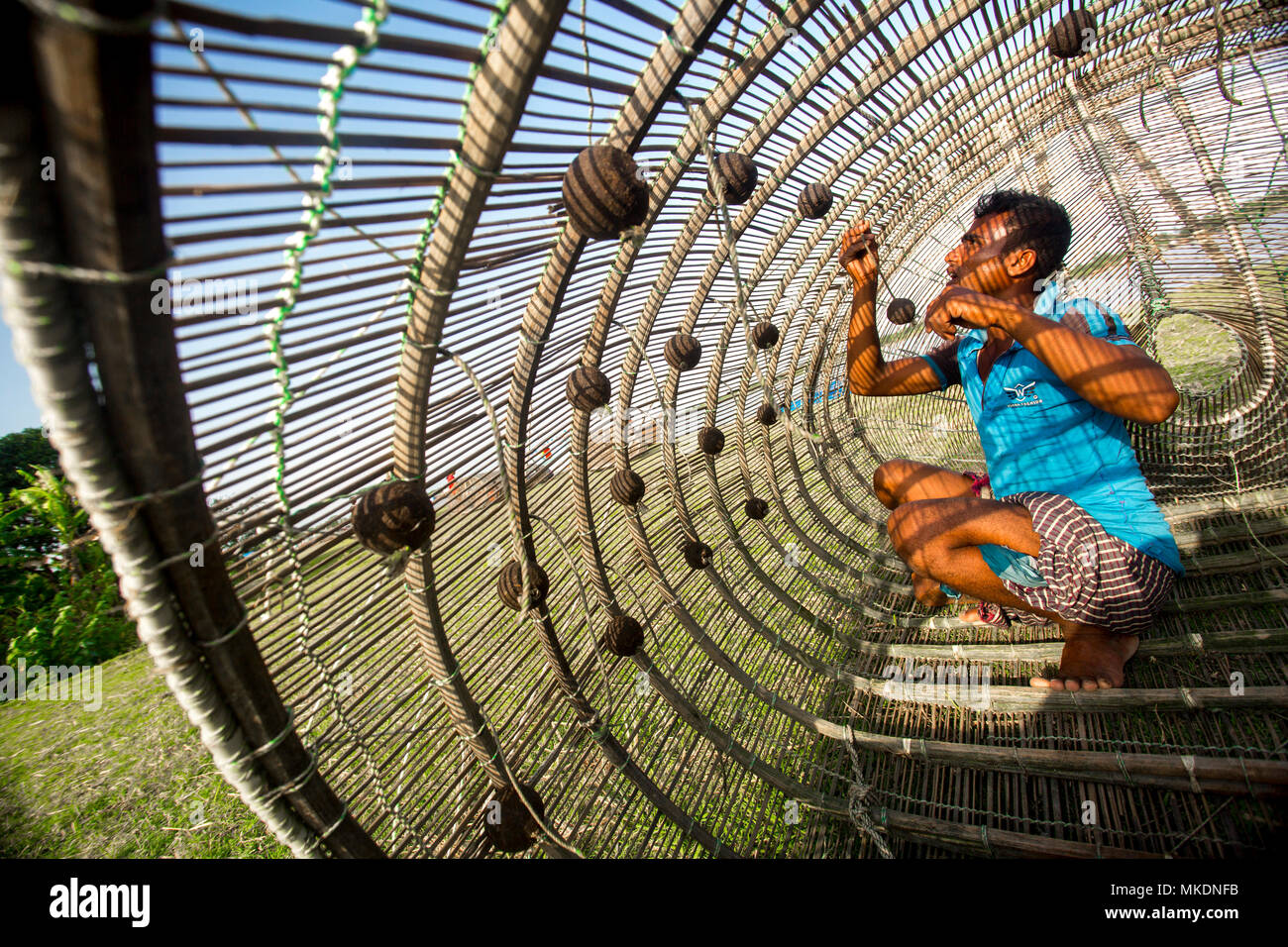 Traditional Pangas Catfish fishing traps made of a Bamboo sticks in