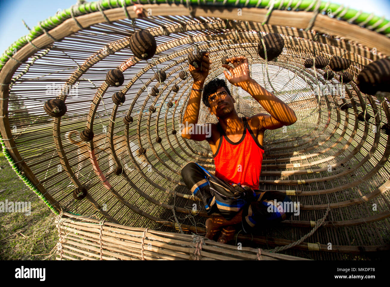 Traditional Pangas Catfish fishing traps made of a Bamboo sticks in