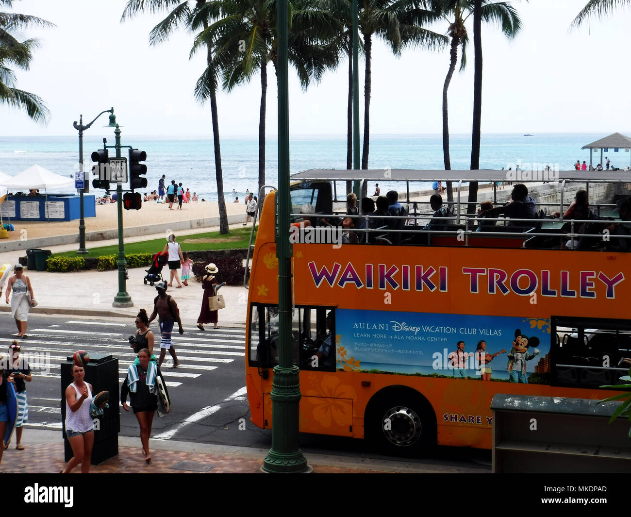 Waikiki Trolley bus Stock Photo Alamy