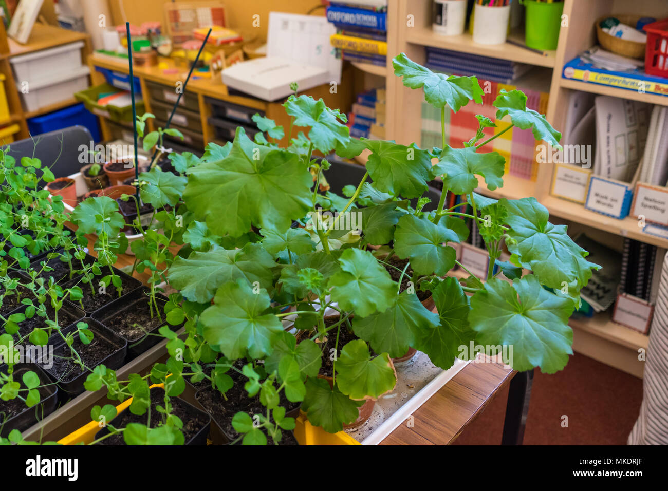 School setting hi-res stock photography and images - Alamy