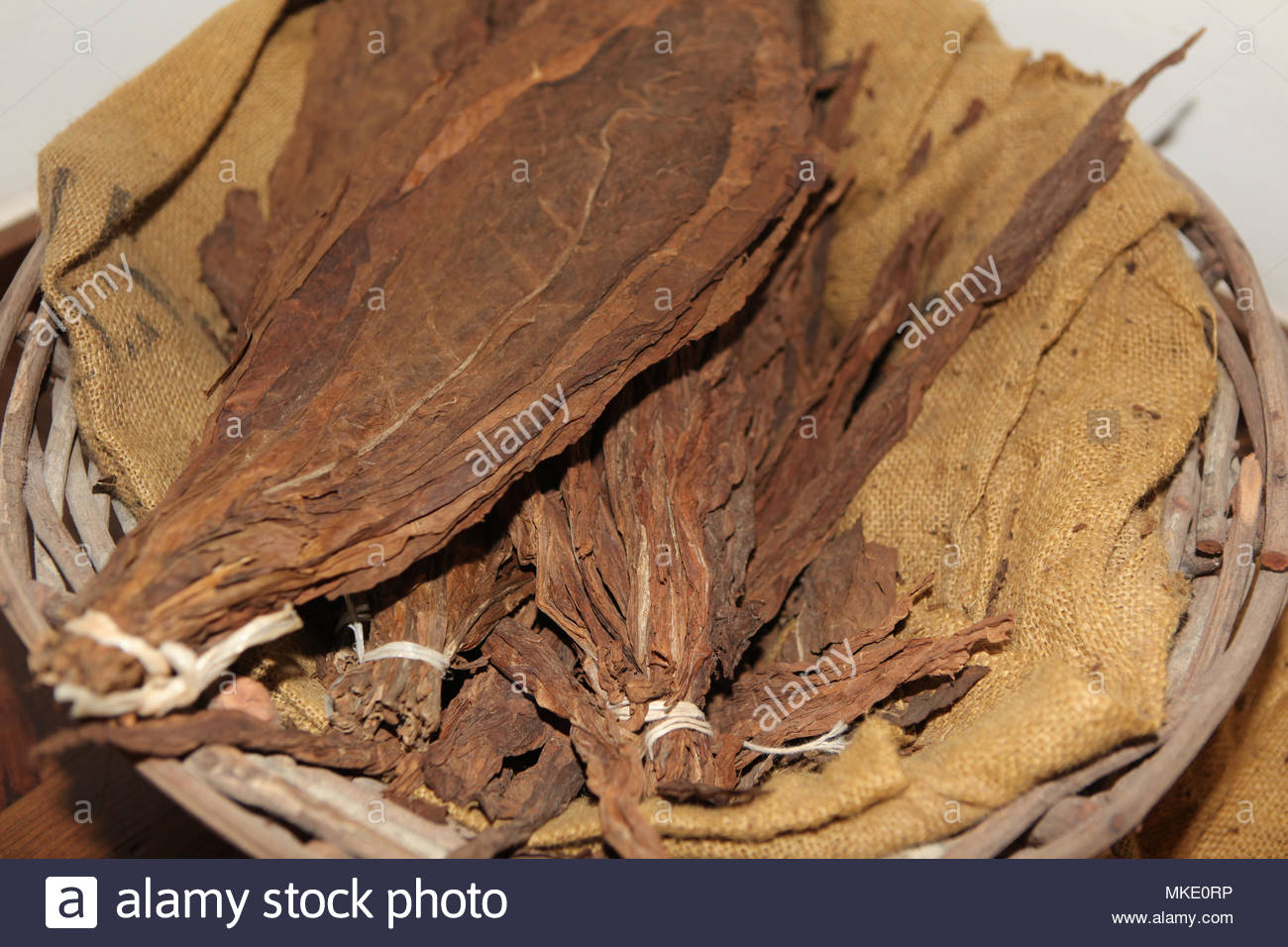Tobacco Leaf Stock Photos & Tobacco Leaf Stock Images Alamy
