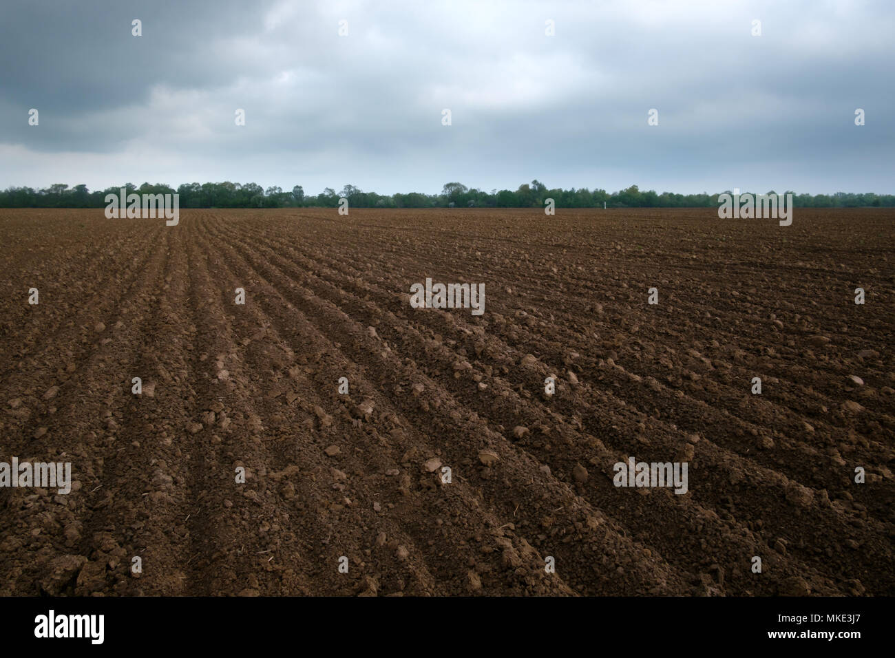 Agriculture field on spring time Stock Photo