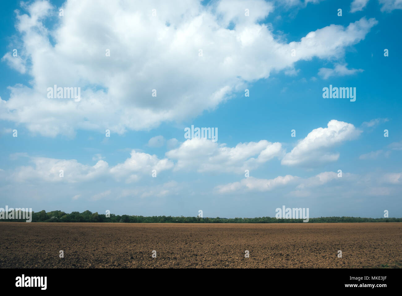 Agriculture field on spring time Stock Photo