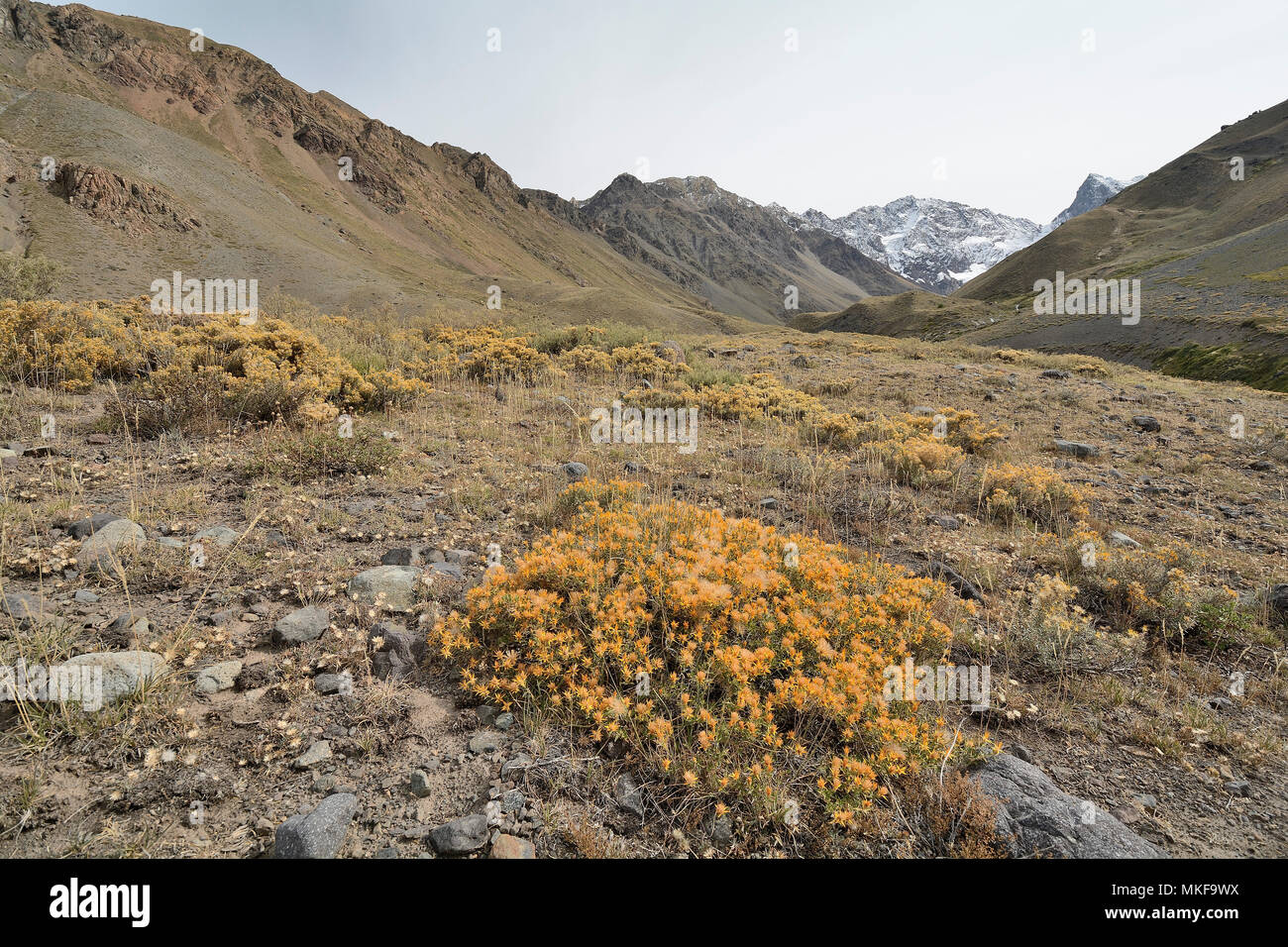Monumento Natural El Morado, Cajón del Maipo, Santiago Metropolitan
