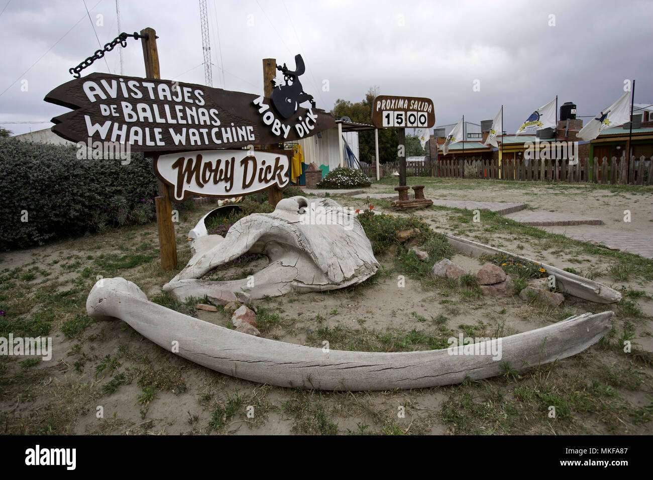 Whale's bones, Puerto Piramides, Golfo Nuevo, Peninsula Valdes, Chubut,  Patagonia, Argentina, Atlantic Ocean Stock Photo - Alamy