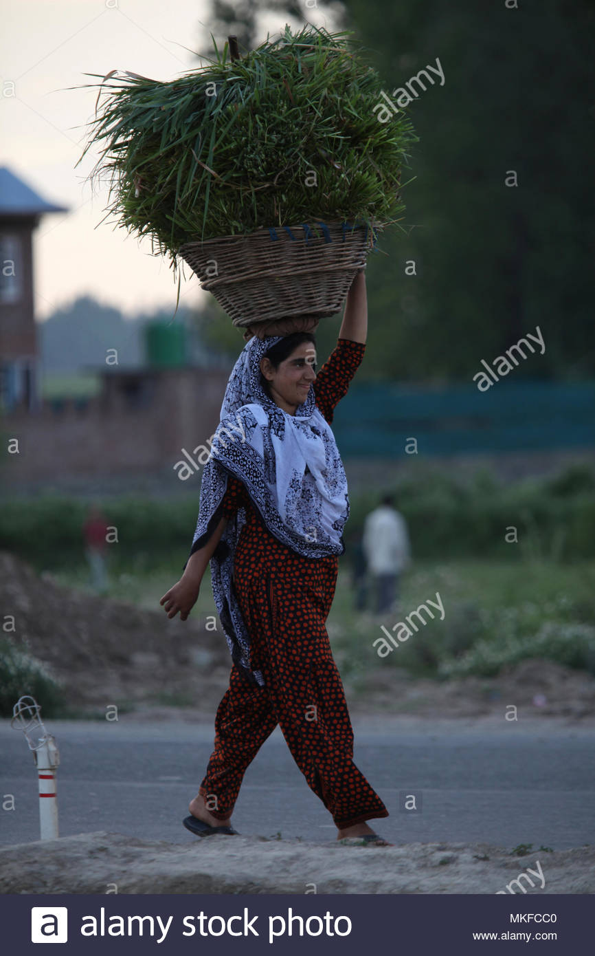 Kashmiri Dress Stock Photos & Kashmiri Dress Stock Images 