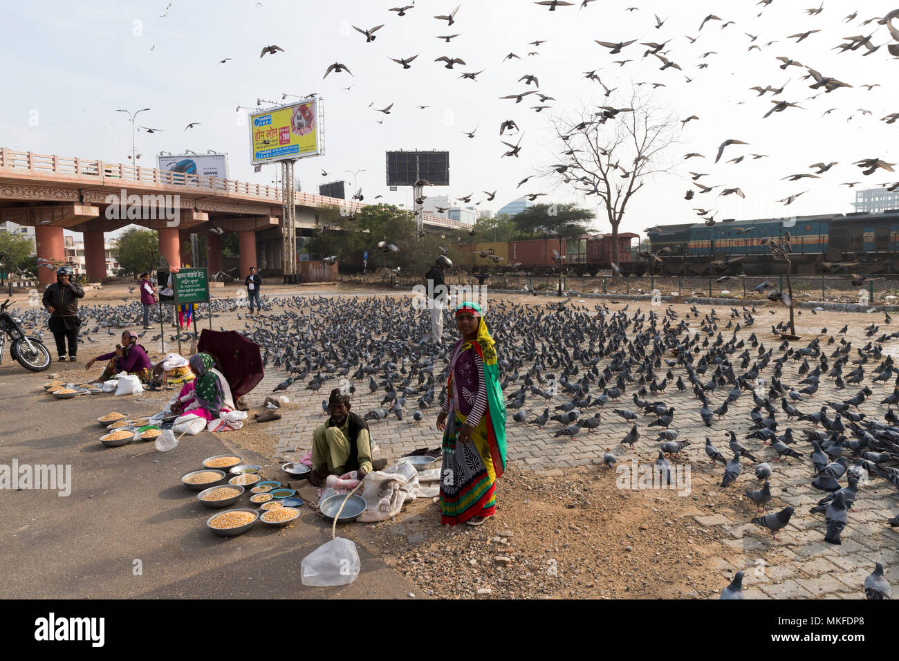 Members of the Bishnoi ethnic group protecting animals, feed the