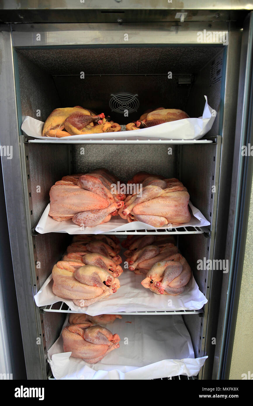 sale my refrigerator