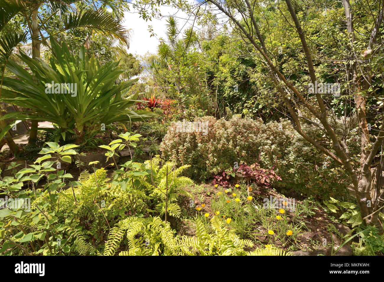 Botanical Garden, Hanga Roa, Easter Island, Chile Stock Photo Alamy