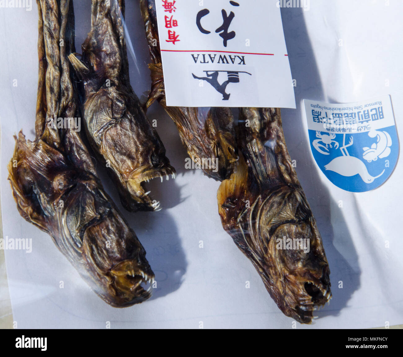 Warasebo (Odontamblyopus lacepedii), Kyushu Island, Japan, dried fish marketed, to be eaten, in a local shop in Japan. This long-lived fish lives in the mud. His head, and especially his strong teeth, earned him the nickname 'alien' in reference to the creature of the science fiction film. Stock Photo