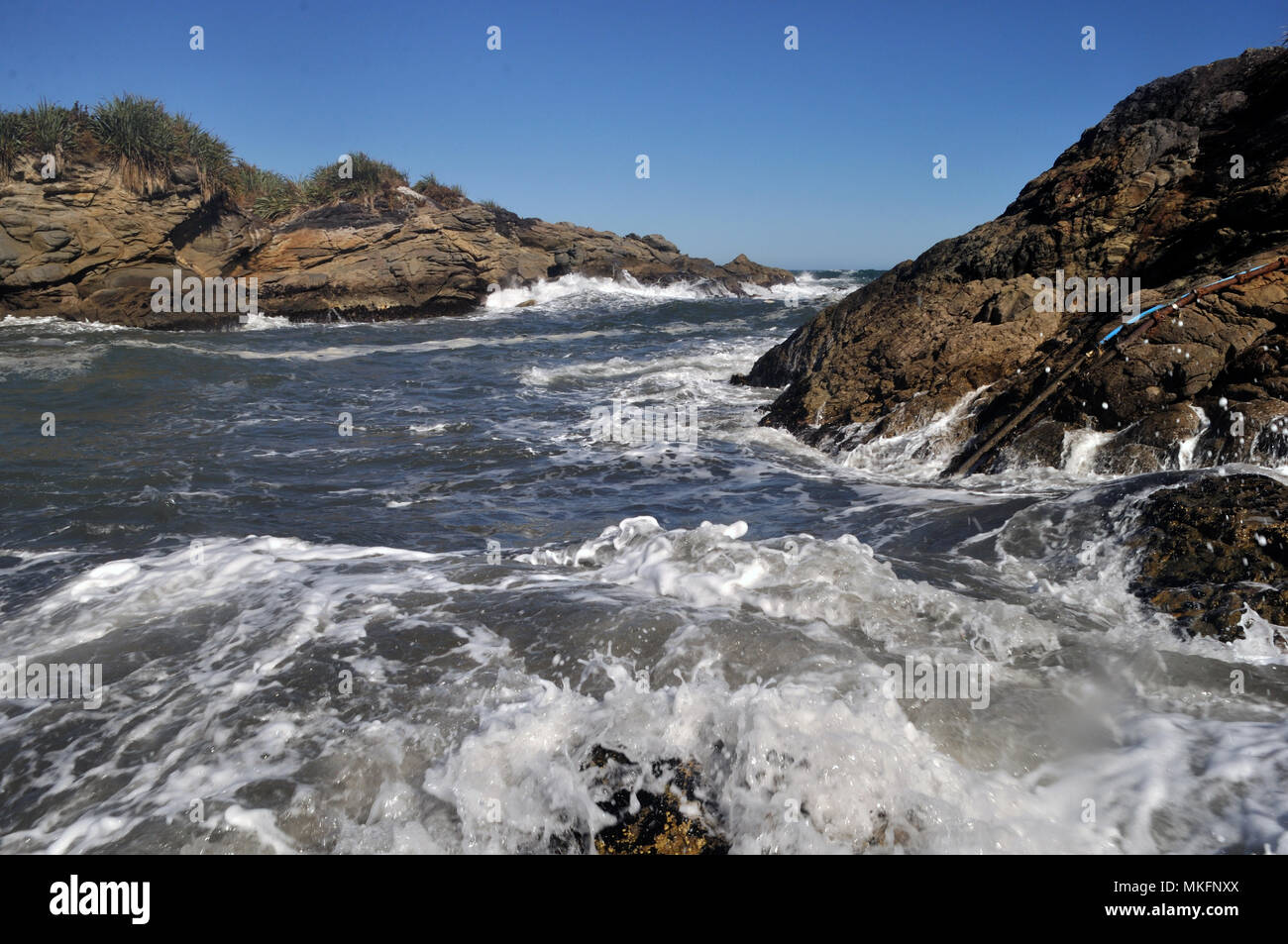 Tsunami warning west coast live