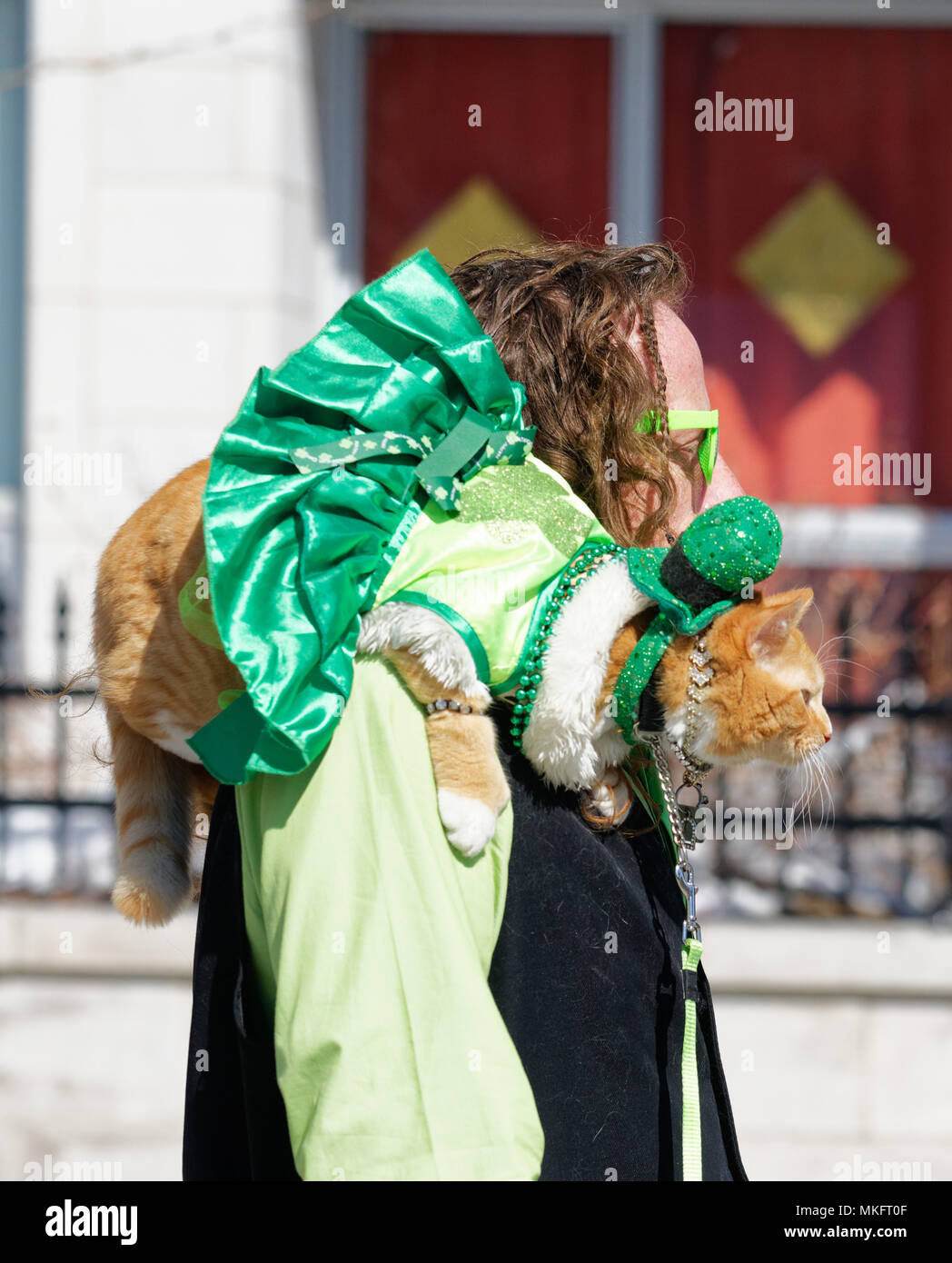 Aman with a cat dressed in emerald green clothes sat in his shoulder in the St Patrick's Day parade in Montreal Stock Photo
